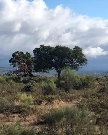 3 Marias Sao Sebastiao 펜션 Lousa (Castelo Branco)